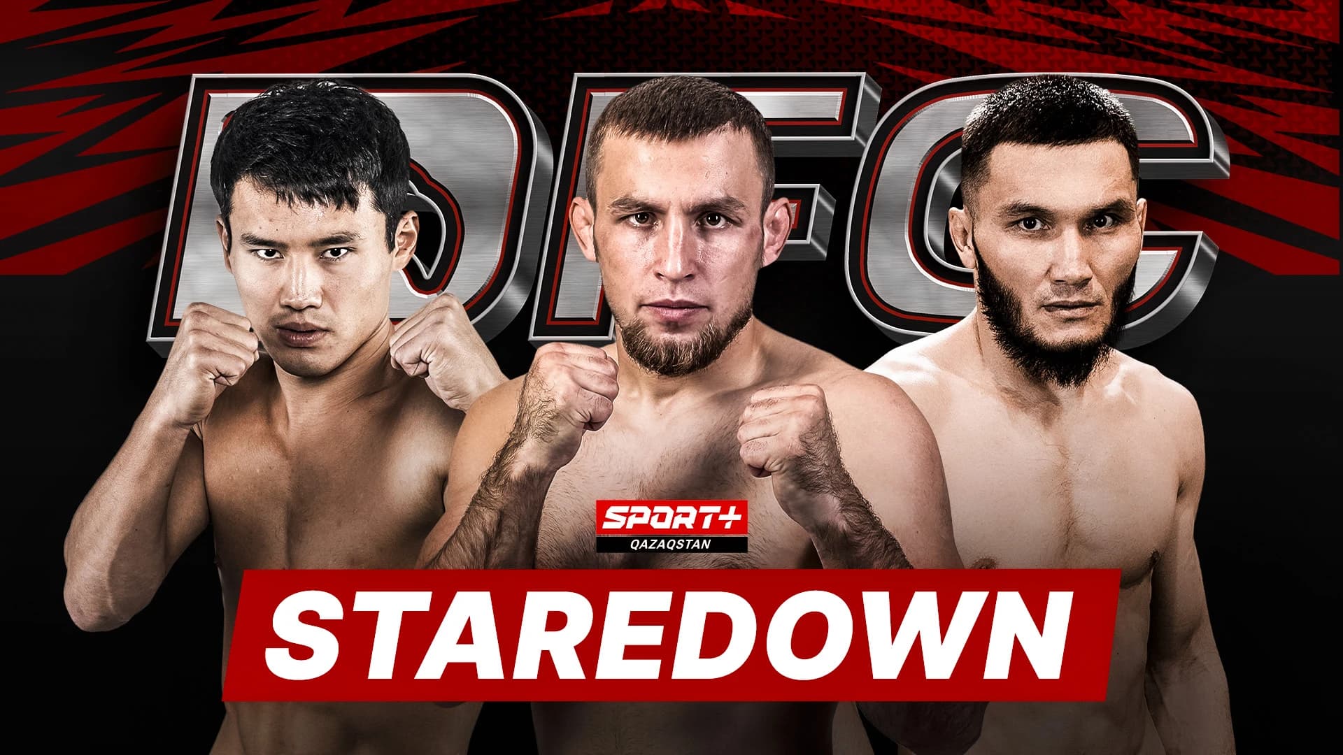 Dala Fight Championship - Steardown
