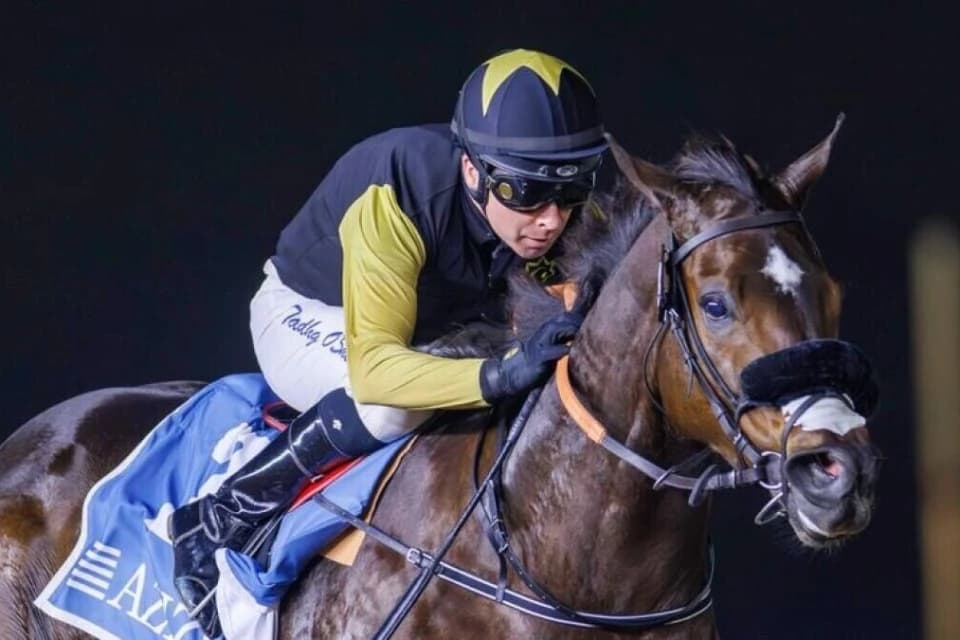Кульминация скакового сезона в ОАЭ. Где и во сколько смотреть Dubai World Cup