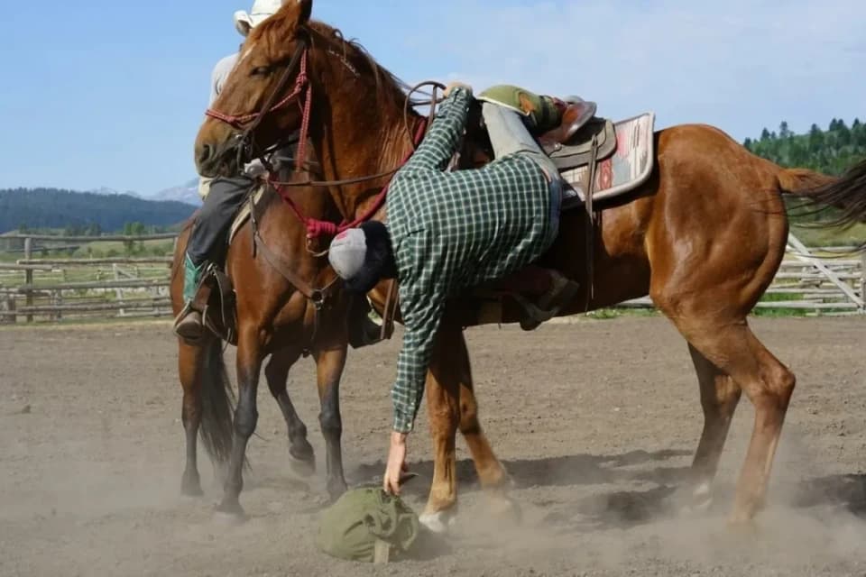 Америкалық көкпаршының ерекше жаттығуы қазақстандықтарды таңқалдырды