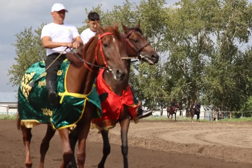 V Дүниежүзілік көшпенділер ойындарына СҚО-дан екі сәйгүлік қосылады