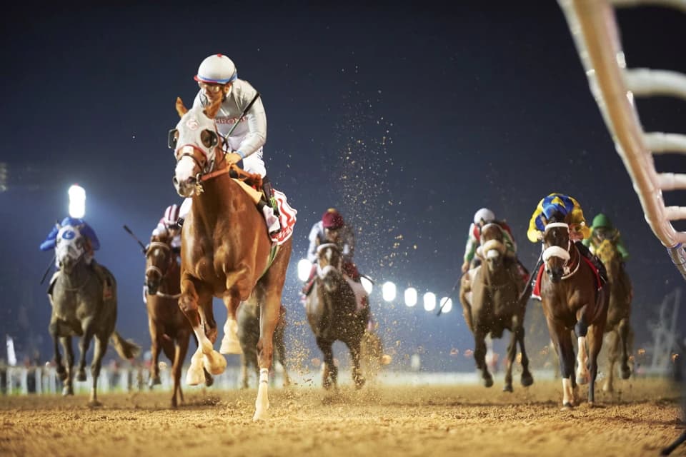 БАӘ-дегі бәйге маусымының шарықтау шегі. Dubai World Cup турнирінен тікелей эфир