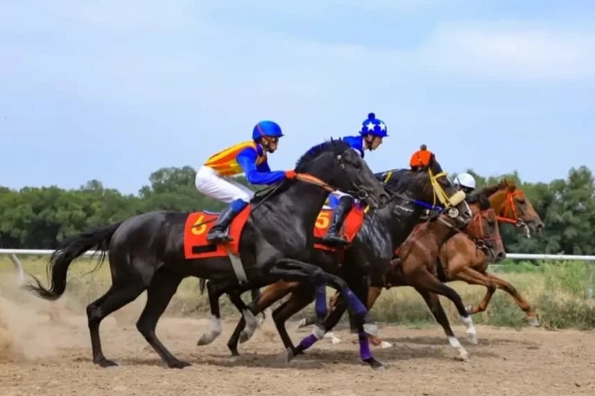 Jockey Club төреші-гандикапері Қазақстандағы ат жарысына арналған инфрақұрылым туралы айтты