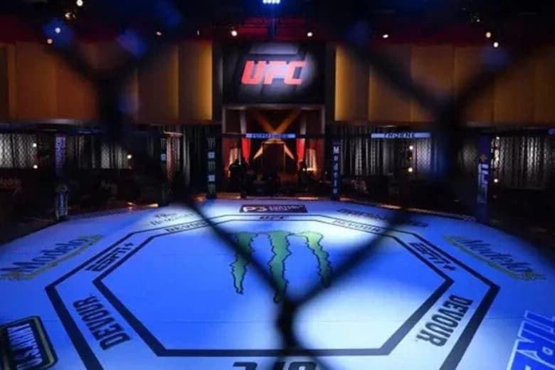 UFC Сауд Арабиясының қолдауымен бокс лигасын құруға дайындалуда