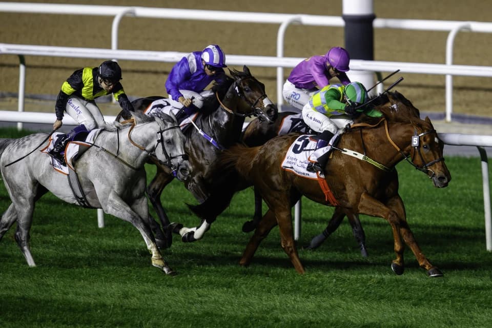 Дубайские скачки. Где и во сколько смотреть Dubai Millennium Stakes
