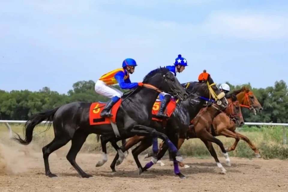 Судья-гандикапер Jockey Club рассказал о инфраструктуре для конных скачек в Казахстане