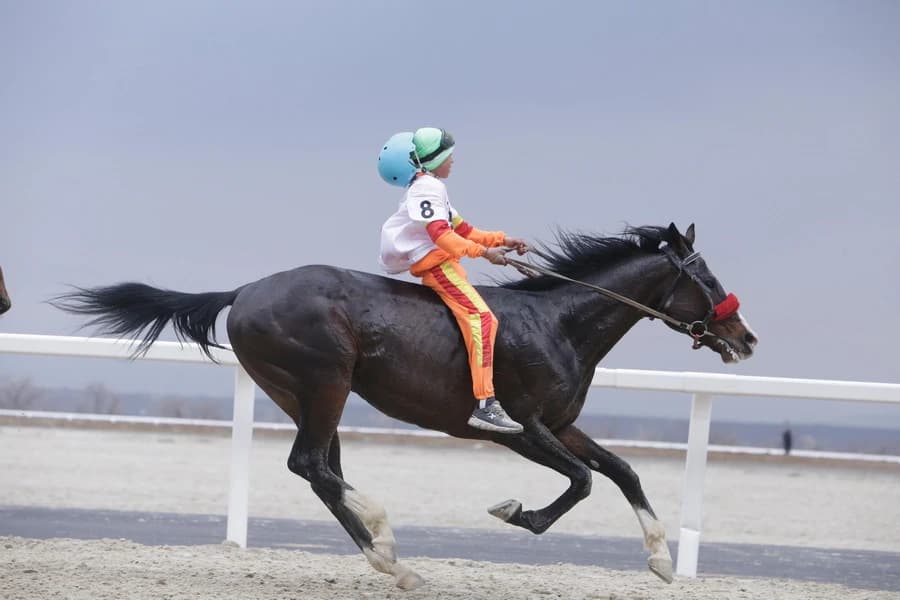Результаты 4 этапа Чемпионата Казахстана по Байге OLIMPBET