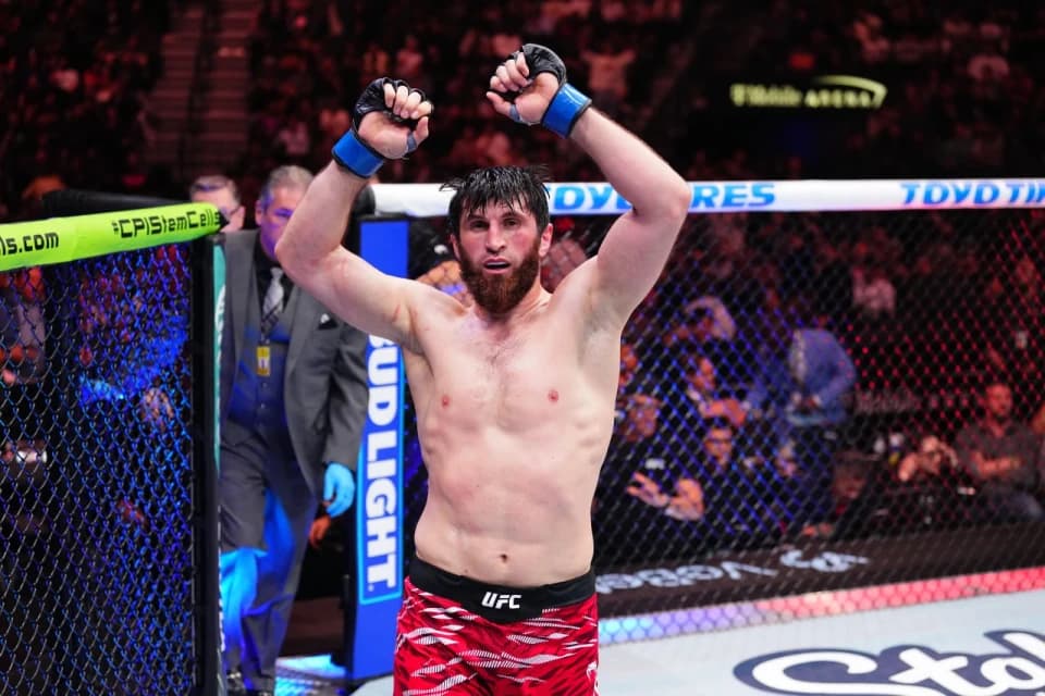 Анкалаев - новый чемпион UFC