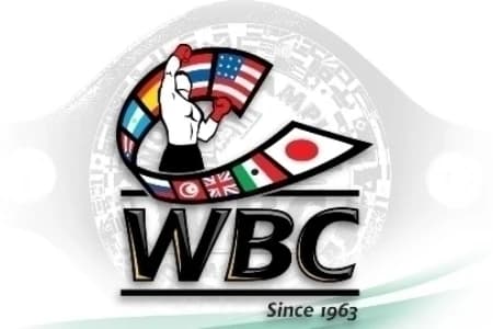 Казахстанцы опустились в рейтинге WBC