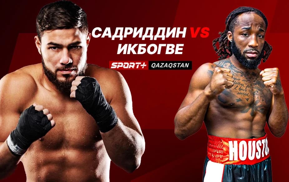 Hollywood Fight Nights. Ахмедов – Игбокве