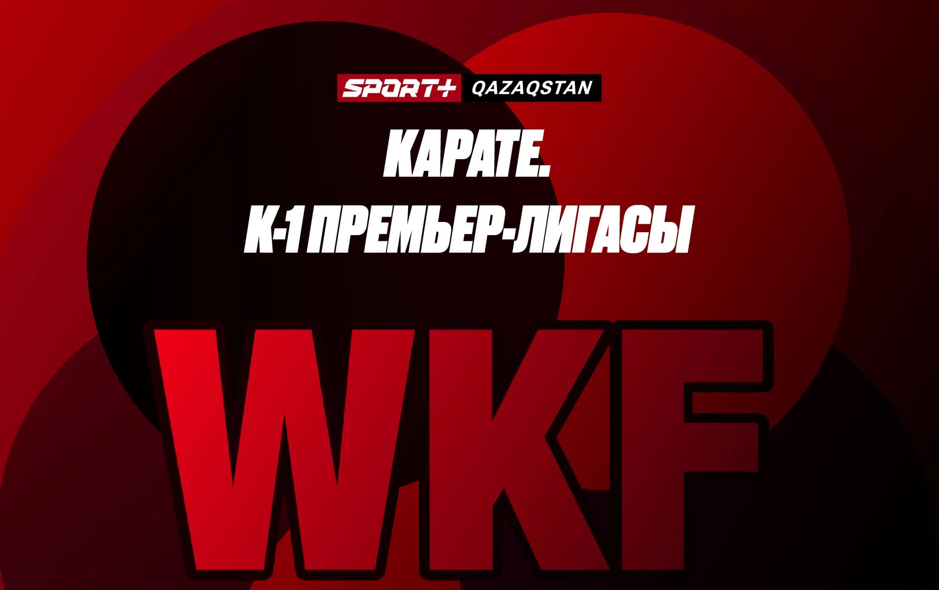 Карате. К-1 премьер-лига. Финал, схватка за 3 место