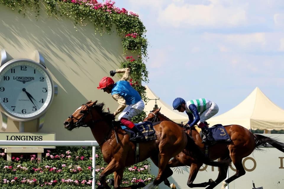 Royal ASCOT классикалық ат жарысы Sport Plus Qazaqstan эфирінде